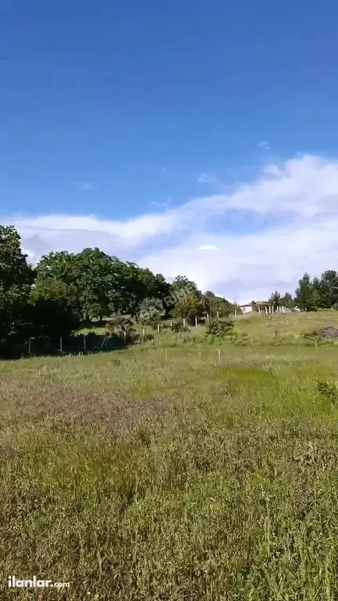 Denizli Tavas Kızılcabölük Mahallesi 3.195 m² satılık tarla arsa - Fotoğraf 1