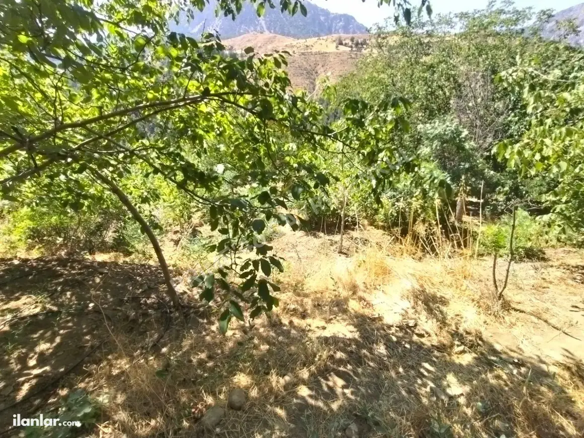 Kahramanmaraş Onikişubat Suçatı Mahallesi 534 m² satılık tarla arsa - Fotoğraf 1