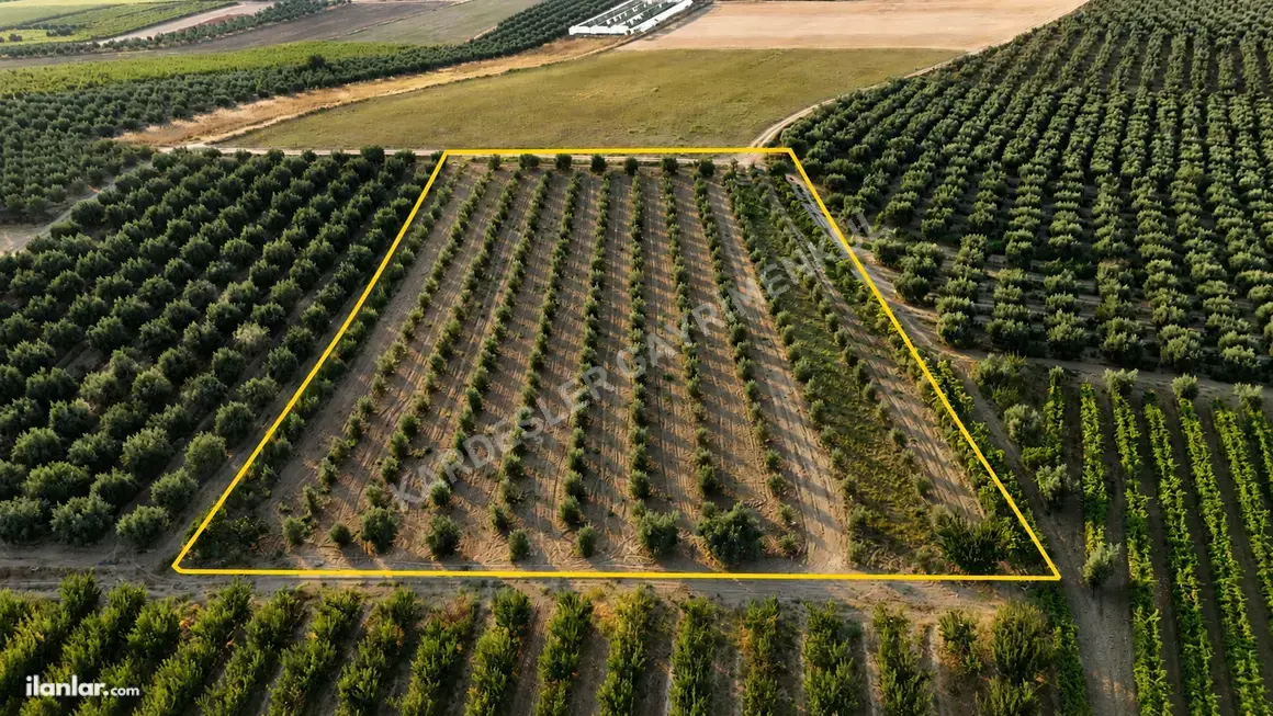 Manisa Salihli Akören Mahallesi 6.150 m² satılık tarla arsa - Fotoğraf 1