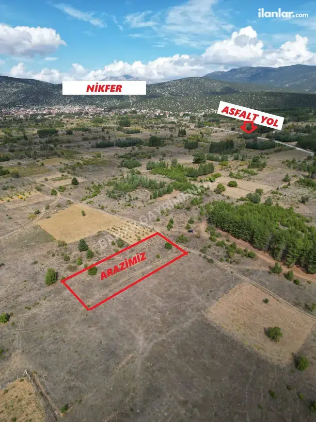 Denizli Tavas Nikfer Mahallesi 2.232 m² satılık bağ & Bahçe arsa - Fotoğraf 1