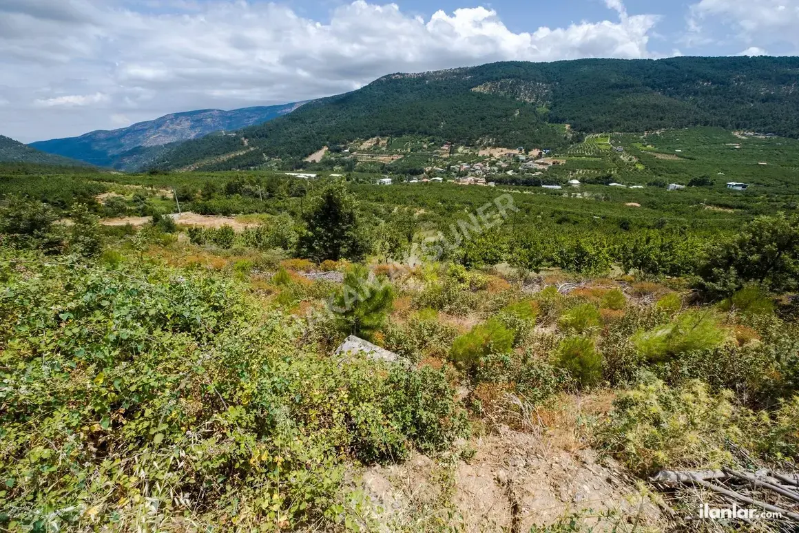 İzmir Kemalpaşa Kamberler Mahallesi 5.978 m² satılık bağ & Bahçe arsa - Fotoğraf 1