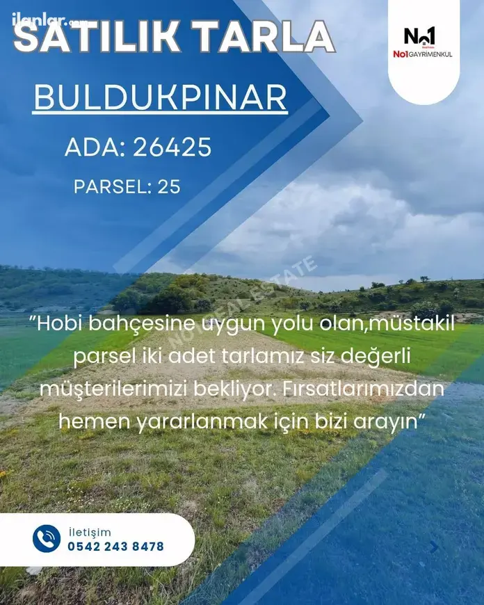 Eskişehir Tepebaşı Buldukpınar Mahallesi 603 m² satılık tarla arsa - Fotoğraf 1