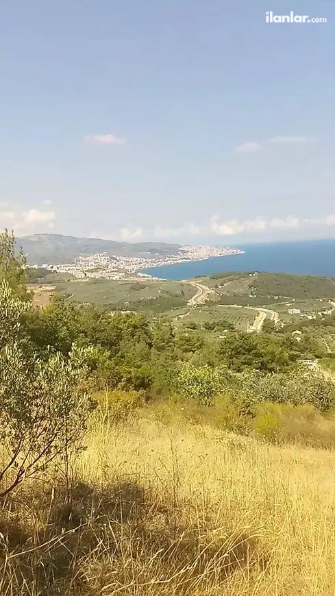 Bursa Mudanya Altıntaş Mahallesi 3.998 m² satılık bağ & Bahçe arsa - Fotoğraf 1