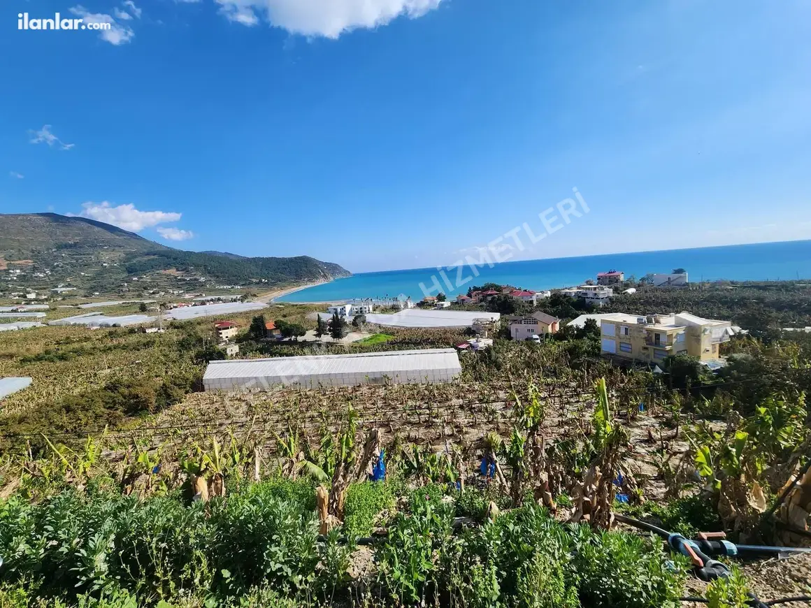 Antalya Gazipaşa Yakacık Mahallesi 854 m² satılık villa arsa - Fotoğraf 1