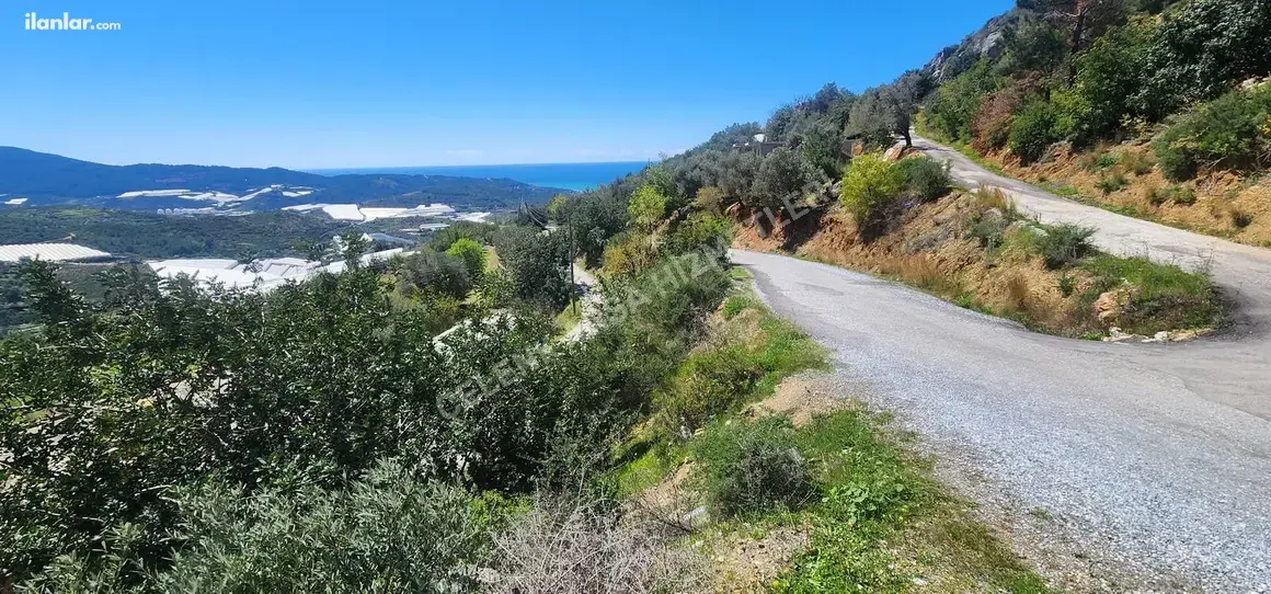 Antalya Alanya Hocalar Mahallesi 687 m² satılık villa arsa - Fotoğraf 1