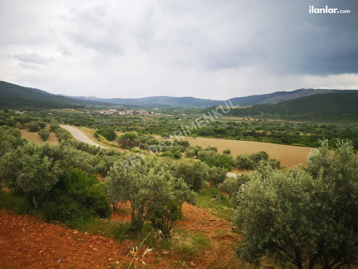 Denizli Tavas Seki Mahallesi 4.283 m² satılık tarla arsa - Fotoğraf 1