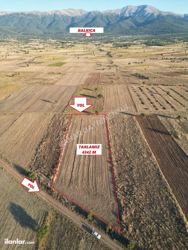 Denizli Tavas Yorga Mahallesi 4.342 m² satılık tarla arsa - Fotoğraf 1