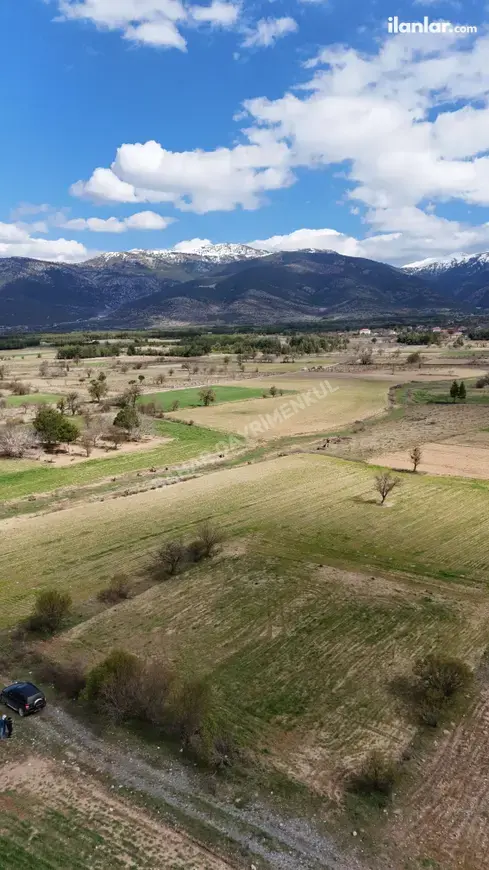 Denizli Tavas Yorga Mahallesi 1.393 m² satılık tarla arsa - Fotoğraf 1