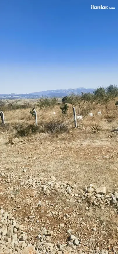 Denizli Serinhisar Şair Eşref Mahallesi 2.500 m² satılık bağ & Bahçe arsa - Fotoğraf 1