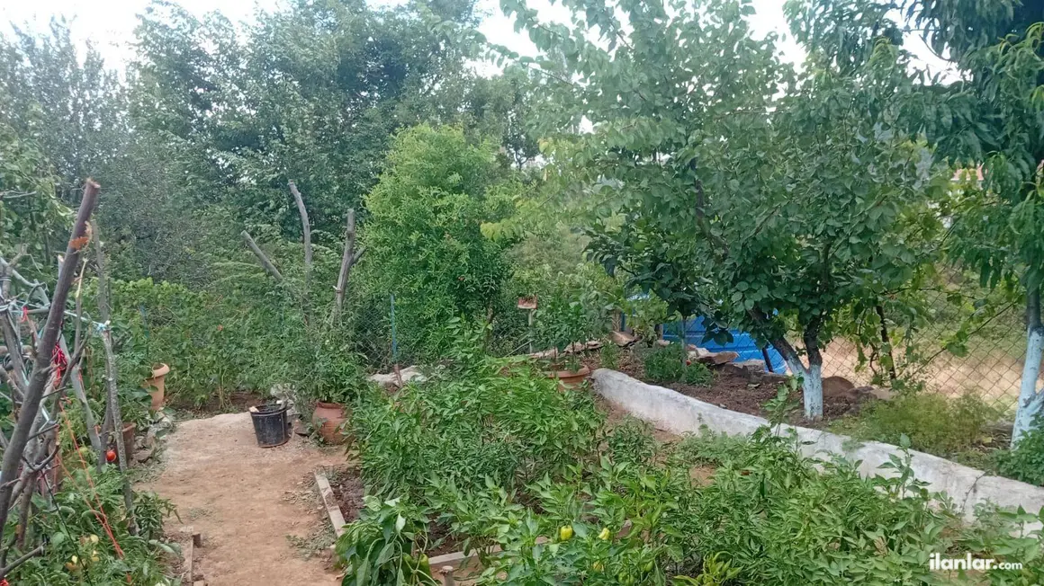 Çanakkale Bayramiç Osmaniye Köyü Mahallesi 374 m² satılık bağ & Bahçe arsa - Fotoğraf 1