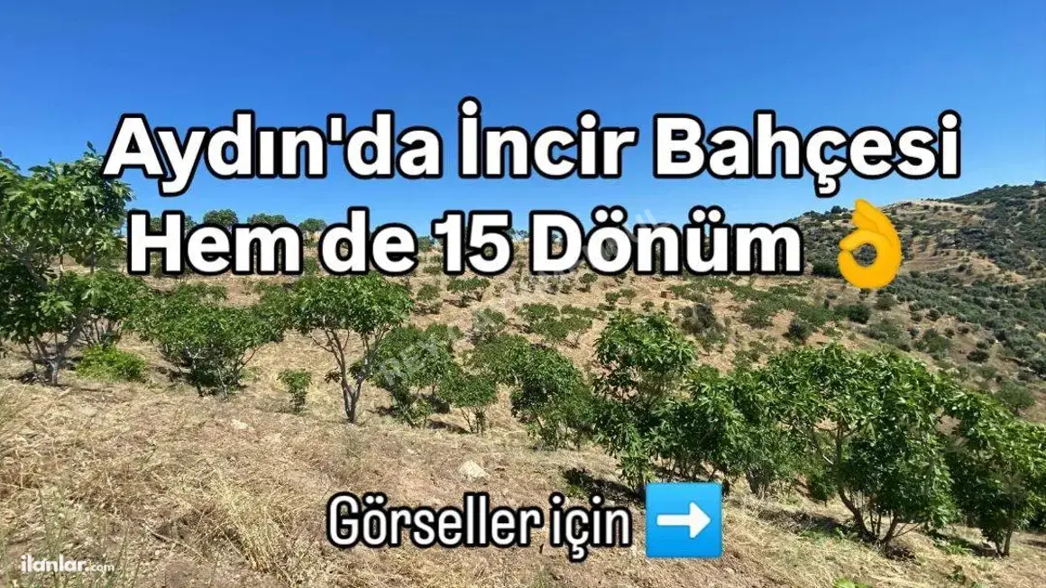 Aydın Yenipazar Paşaköy Mahallesi 15.778 m² satılık tarla arsa - Fotoğraf 1