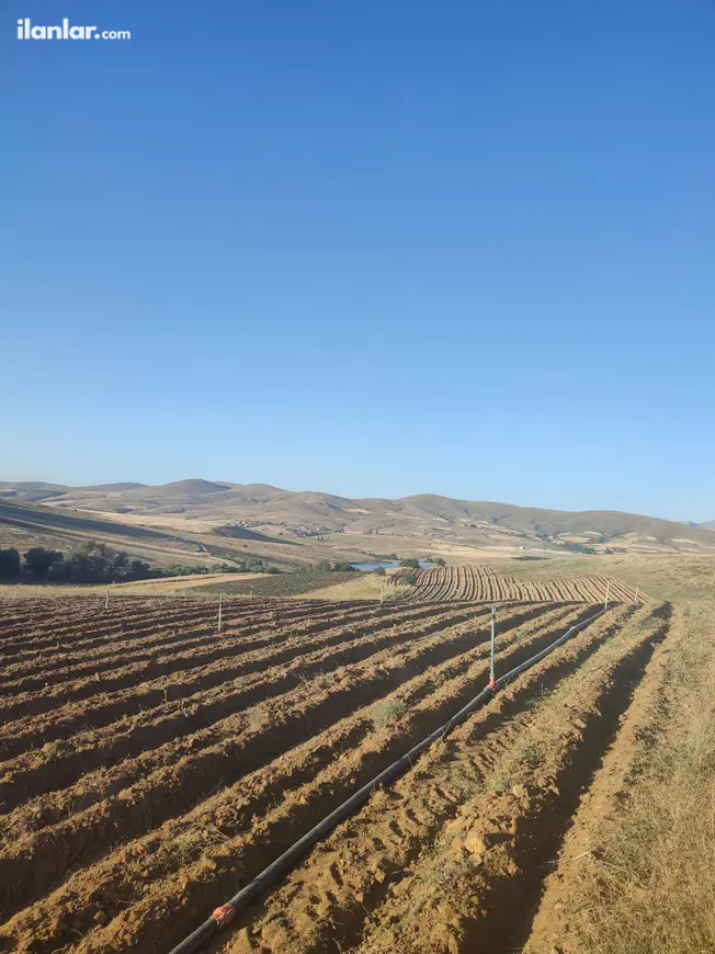 Niğde Merkez Elmalı, Menderes Mahallesi 13.428 m² satılık tarla arsa - Fotoğraf 1