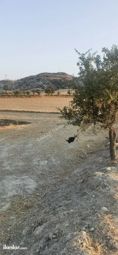 Denizli Sarayköy Beylerbeyi Mahallesi 6.250 m² satılık tarla arsa - Fotoğraf 1
