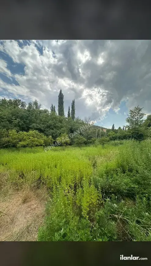 Kahramanmaraş Türkoğlu Avşarlı Mahallesi 1.765 m² satılık bağ & Bahçe arsa - Fotoğraf 1