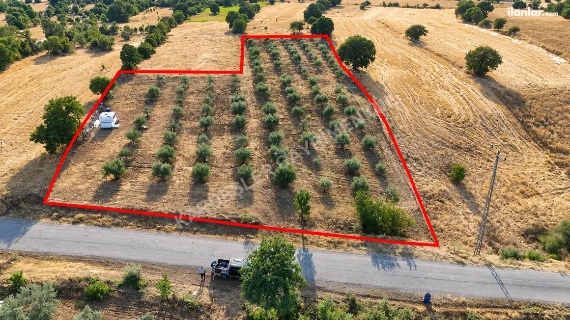 Manisa Kula Kenger Mahallesi 5.500 m² satılık tarla arsa - Fotoğraf 1