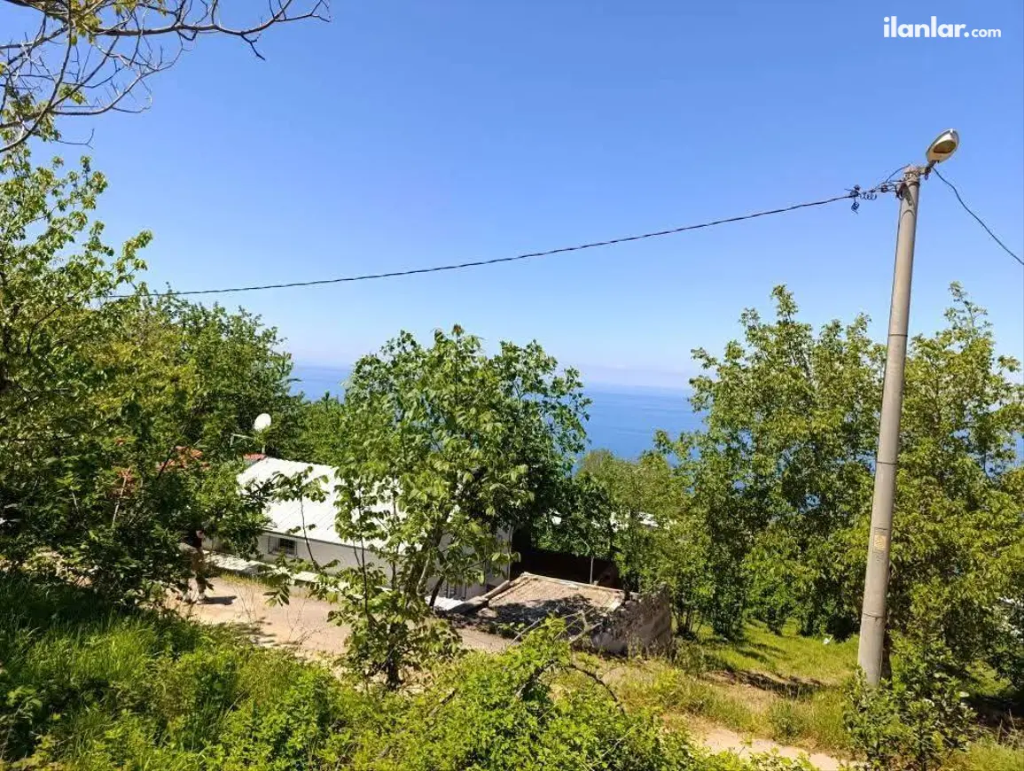 Bursa Karacabey Kurşunlu Mahallesi 2.624 m² satılık tarla arsa - Fotoğraf 1