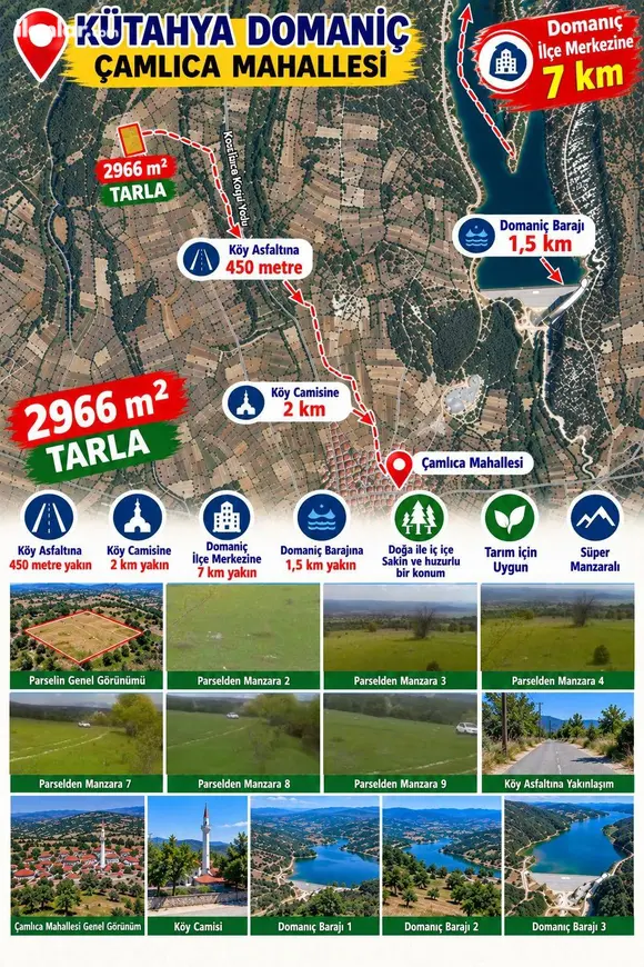 Kütahya Domaniç Çamlıca Köyü Mahallesi 2.966 m² satılık tarla arsa - Fotoğraf 1