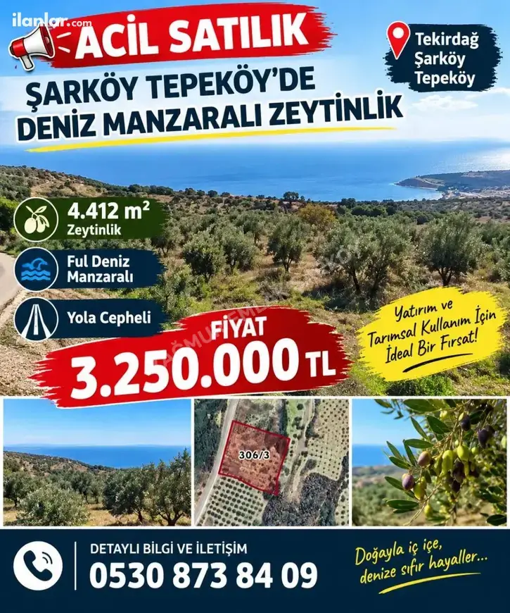 Tekirdağ Şarköy Tepeköy Mahallesi 4.412 m² satılık bağ & Bahçe arsa - Fotoğraf 1