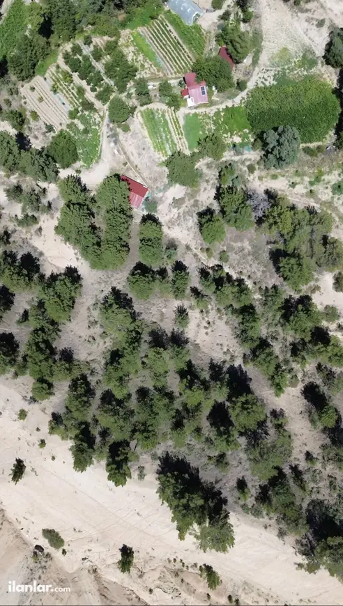Denizli Acıpayam Aliveren Mahallesi 3.939 m² satılık tarla arsa - Fotoğraf 1