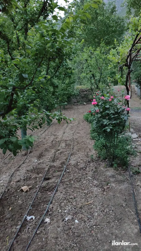Amasya Merkez Ziyaret, Aşağı Mahallesi 860 m² satılık bağ & Bahçe arsa - Fotoğraf 1