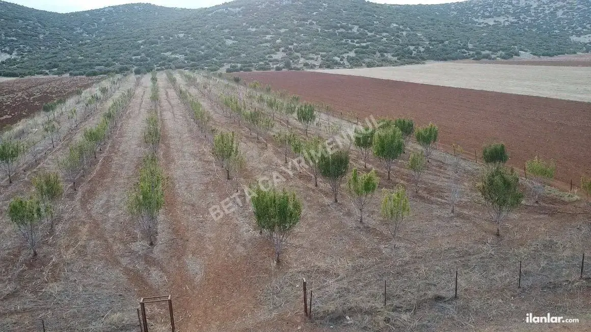Antalya Korkuteli Bayat Mahallesi 11.200 m² satılık bağ & Bahçe arsa - Fotoğraf 1