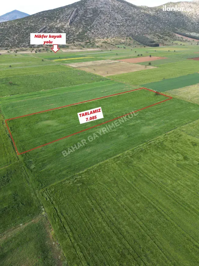 Denizli Tavas Garipköy Mahallesi 7.085 m² satılık arazi arsa - Fotoğraf 1