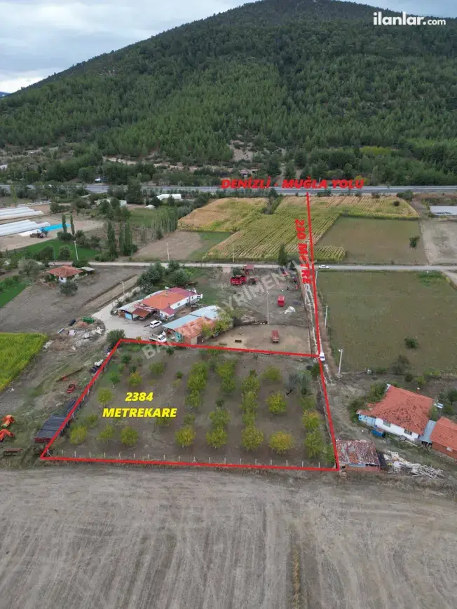 Denizli Tavas Solmaz Mahallesi 2.384 m² satılık bağ & Bahçe arsa - Fotoğraf 1