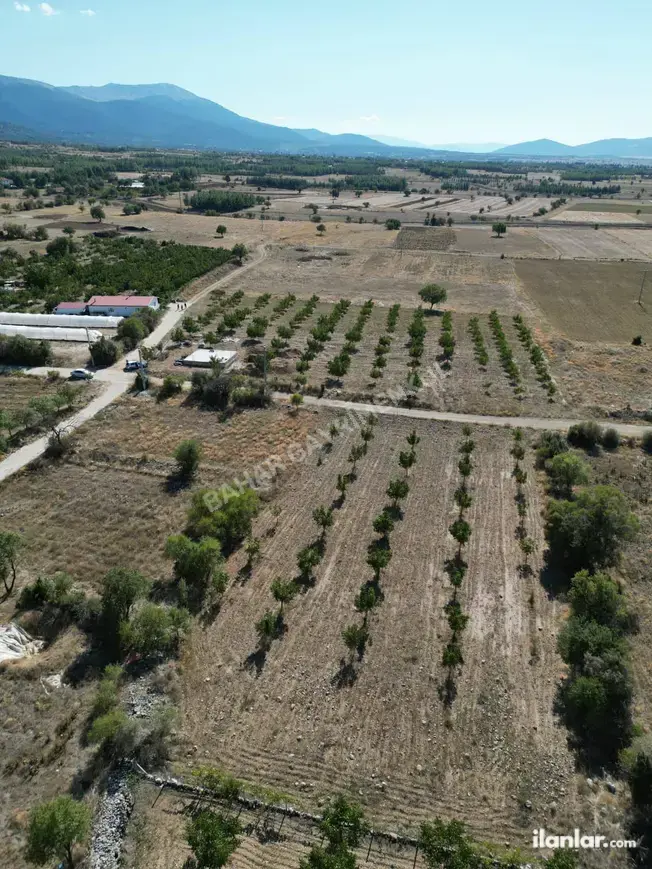 Denizli Tavas Bahçeköy Mahallesi 1.074 m² satılık konut arsa - Fotoğraf 1