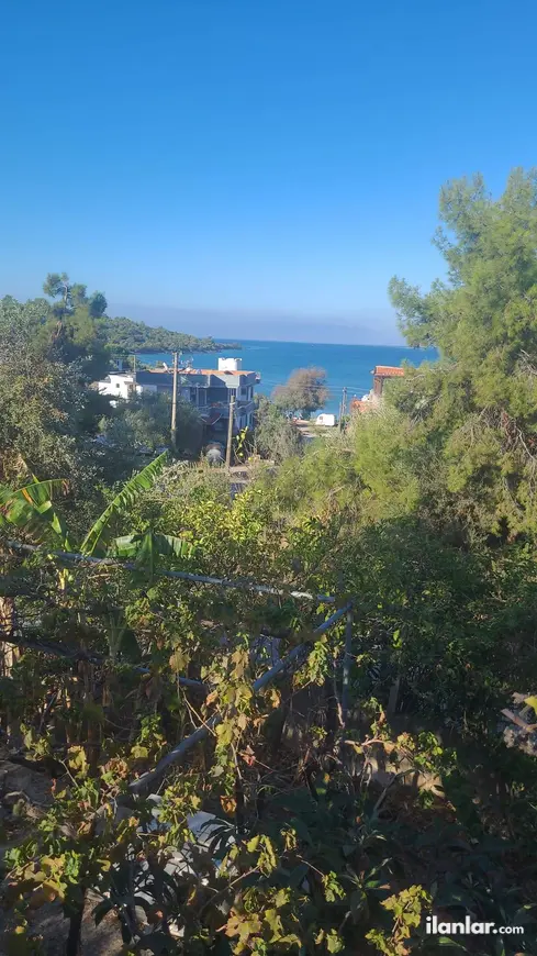 Muğla Milas Kıyıkışlacık Mahallesi 2+0 69 m² kiralık daire - Fotoğraf 1