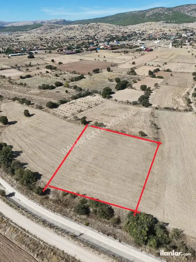 Denizli Çivril Sarılar Mahallesi 3.076 m² satılık tarla arsa - Fotoğraf 1