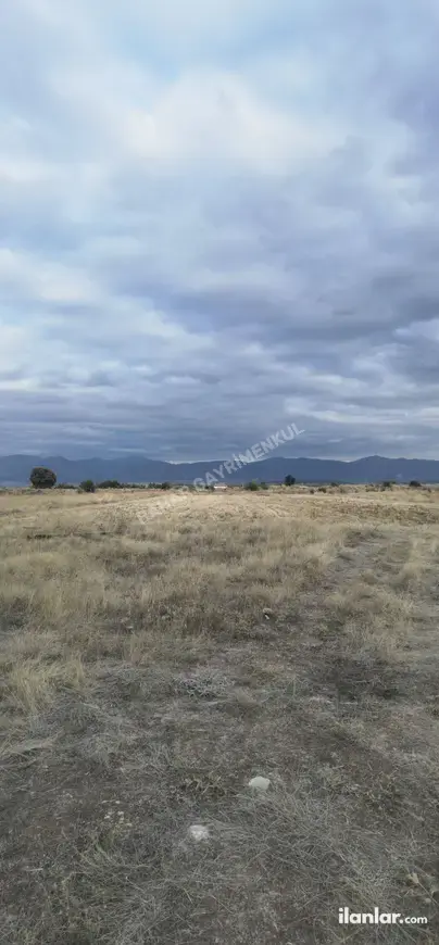 Denizli Acıpayam Akalan Mahallesi 4.942 m² satılık tarla arsa - Fotoğraf 1