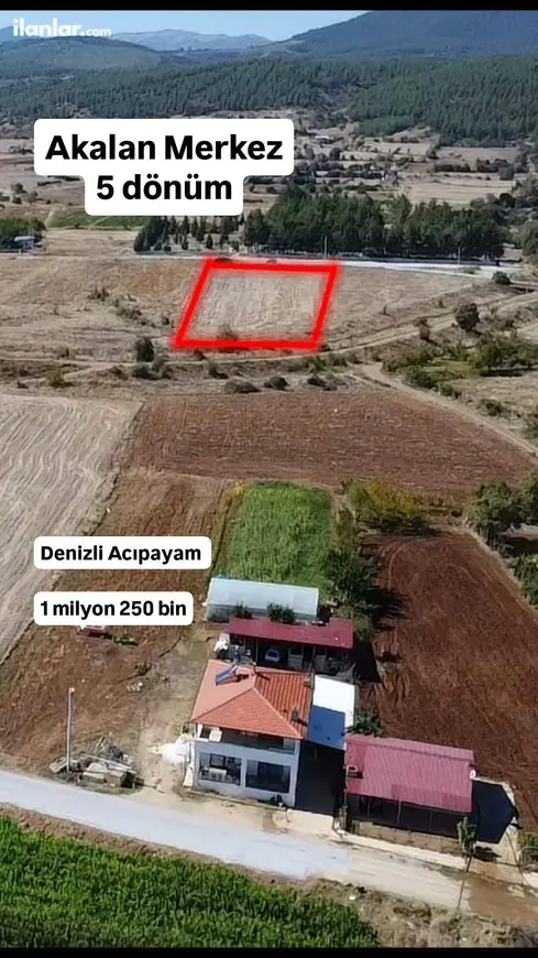 Denizli Acıpayam Akalan Mahallesi 4.900 m² satılık tarla arsa - Fotoğraf 1