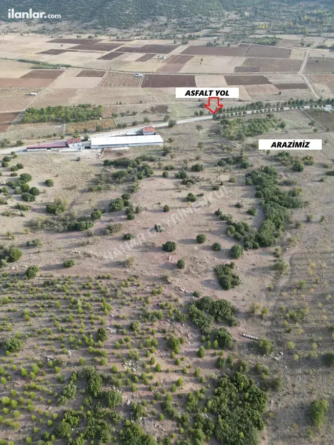 Denizli Tavas Ovacık Mahallesi 19.613 m² satılık tarla arsa - Fotoğraf 1