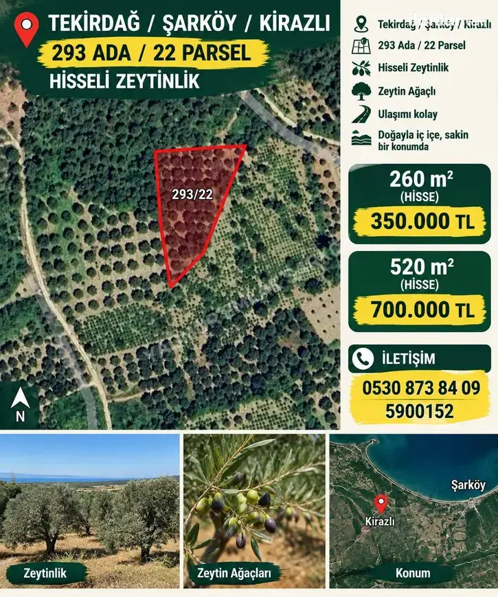 Tekirdağ Şarköy Kirazlı Mahallesi 260 m² satılık zeytinlik arsa - Fotoğraf 1