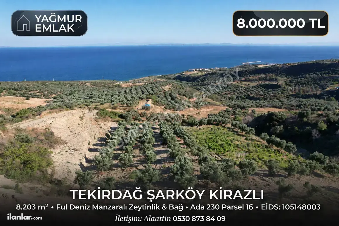 Tekirdağ Şarköy Kirazlı Mahallesi 8.200 m² satılık bağ & Bahçe arsa - Fotoğraf 1