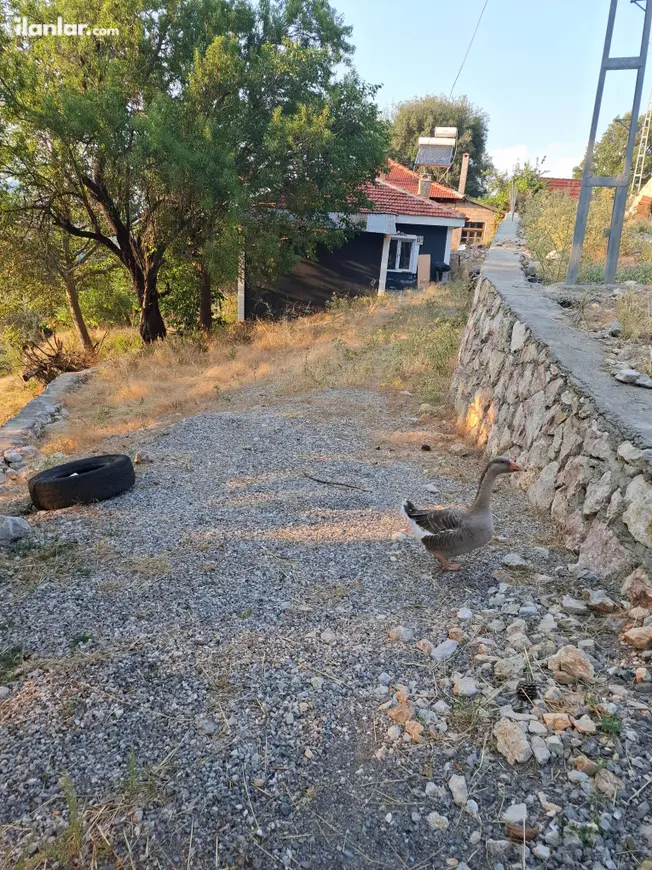 Denizli Çameli Bıçakçı Mahallesi 3+1 387 m² satılık müstakil Ev - Fotoğraf 1