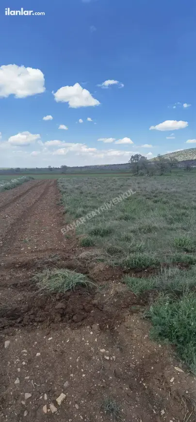 Denizli Bekilli Köselli Mahallesi 2.982 m² satılık tarla arsa - Fotoğraf 1