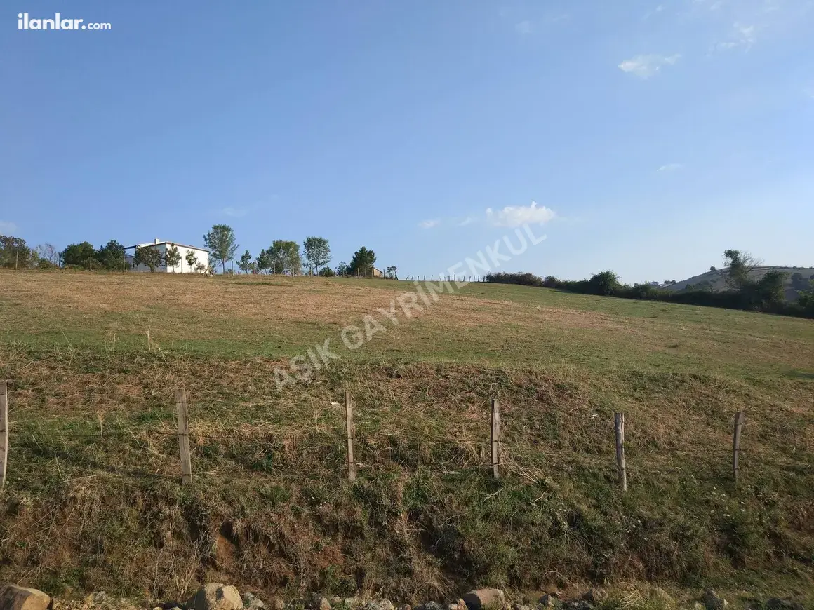 Samsun 19 Mayıs Beylik Mahallesi 3.100 m² satılık tarla arsa - Fotoğraf 1
