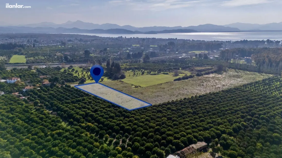 Muğla Köyceğiz Ulucami Mahallesi 4.000 m² satılık tarla arsa - Fotoğraf 1