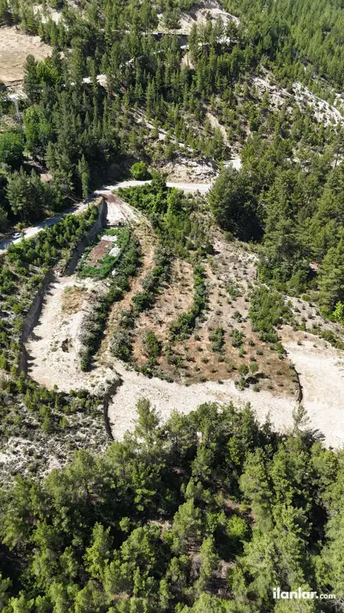 Denizli Çameli Ericek Mahallesi 11.693 m² satılık tarla arsa - Fotoğraf 1