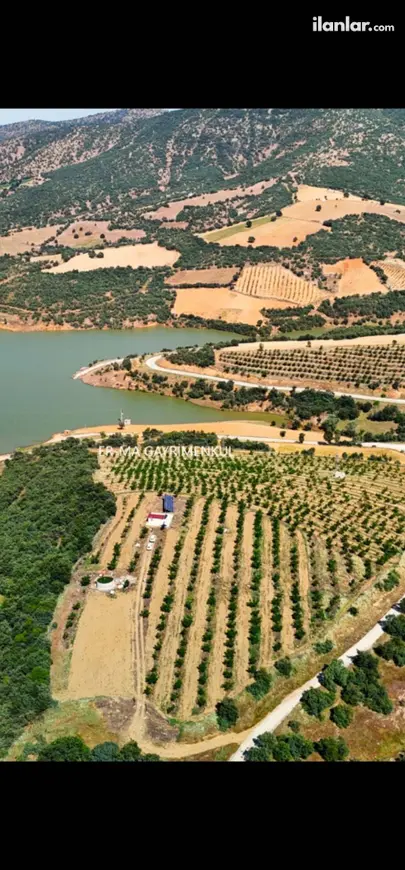 Manisa Kula Narıncalısüleyman Mahallesi 53.000 m² satılık tarla arsa - Fotoğraf 1