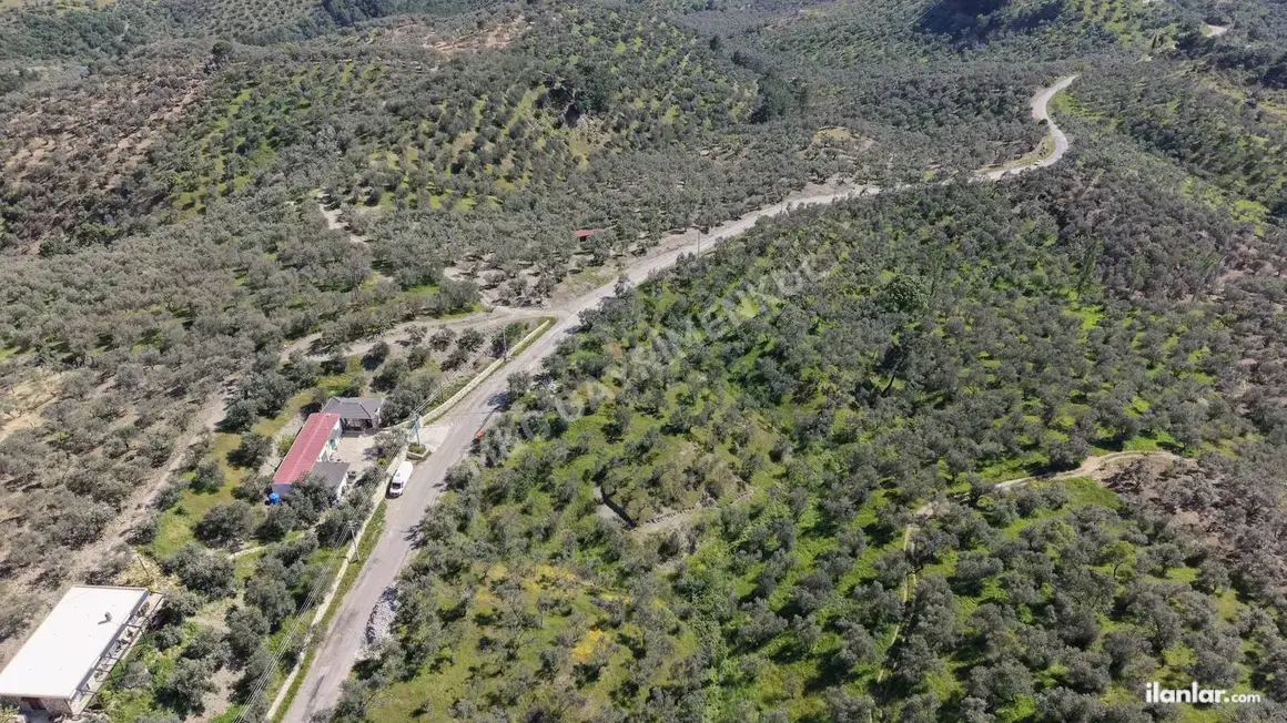 Çanakkale Ayvacık Bahçedere Köyü Mahallesi 3.489 m² satılık zeytinlik arsa - Fotoğraf 1