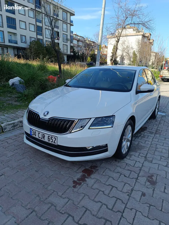2019 Skoda Octavia 1.6 TDI dizel yarı Otomatik otomobil - Fotoğraf 2