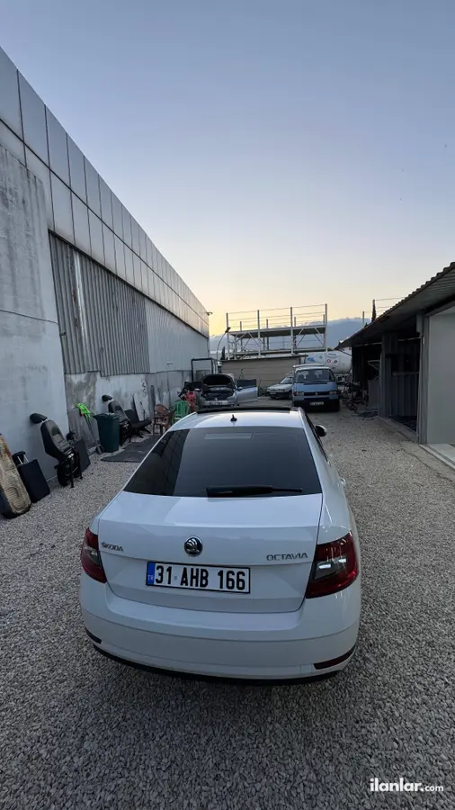 2017 Skoda Octavia 1.6 TDI dizel yarı Otomatik otomobil - Fotoğraf 3
