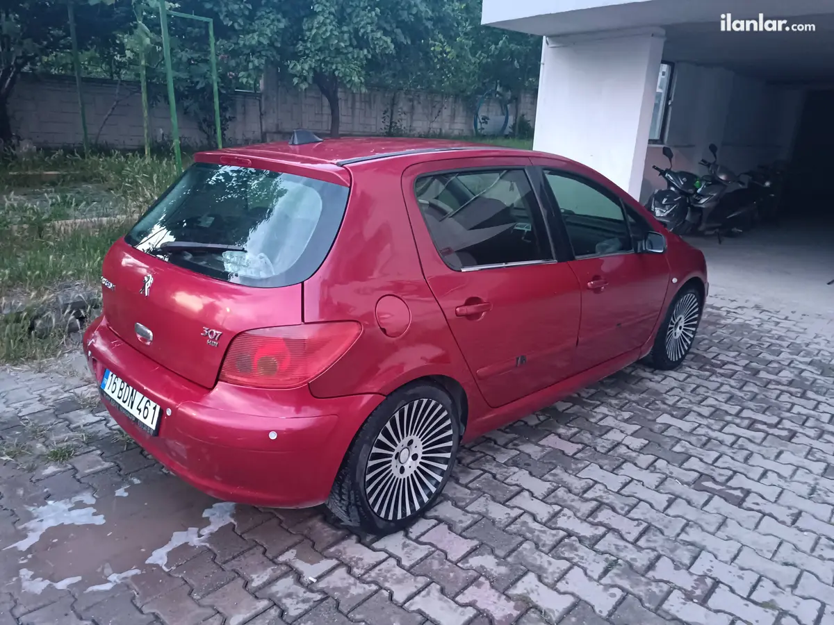 2004 Peugeot 307 1.4 HDi dizel manuel otomobil - Fotoğraf 1