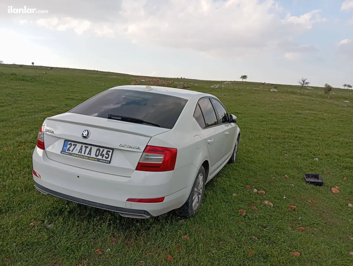 2016 Skoda Octavia 1.6 TDI dizel otomatik otomobil - Fotoğraf 3