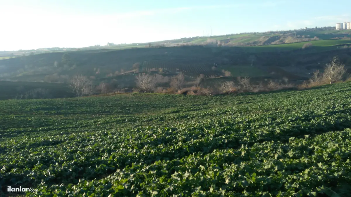 Tekirdağ Süleymanpaşa Barbaros Mahallesi 645 m² satılık ticari + Konut arsa - Fotoğraf 2