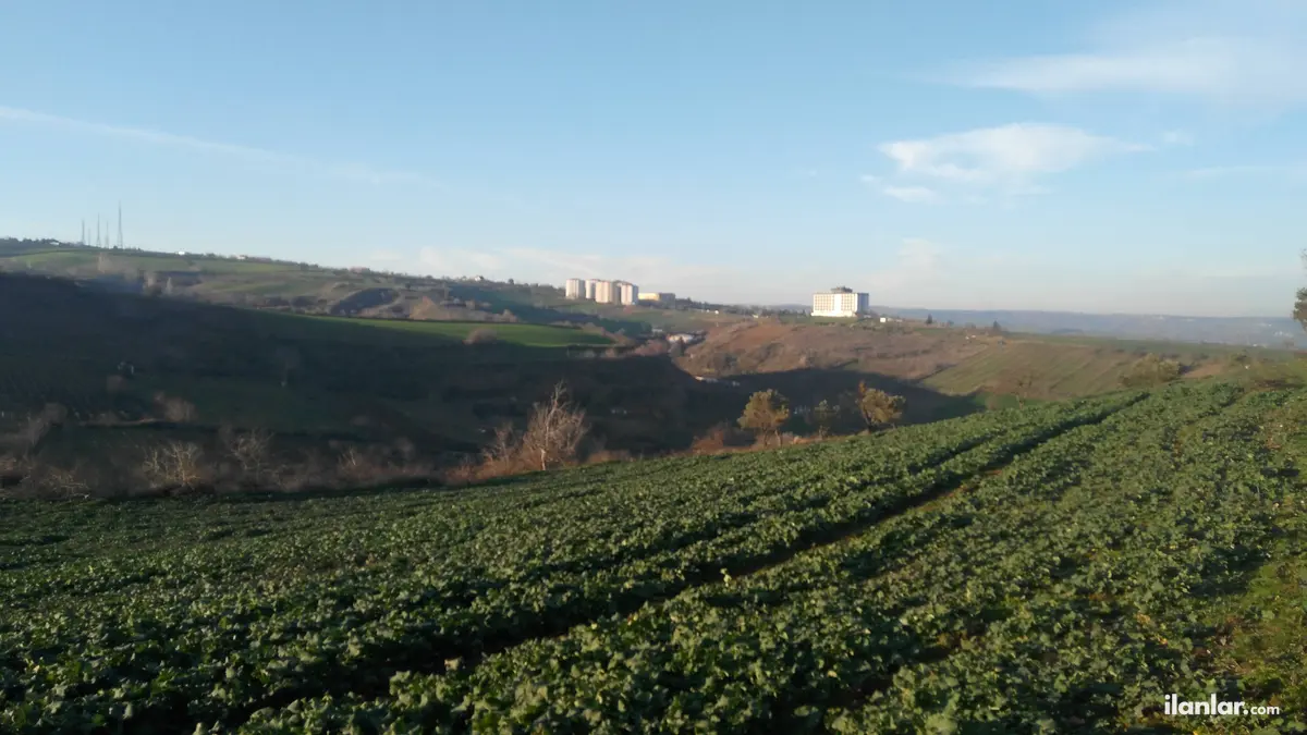 Tekirdağ Süleymanpaşa Barbaros Mahallesi 645 m² satılık ticari + Konut arsa - Fotoğraf 3