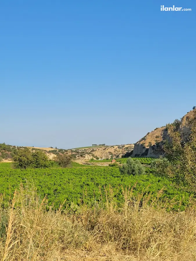 Manisa Sarıgöl Yeniköy Mahallesi 750 m² satılık arazi arsa - Fotoğraf 1