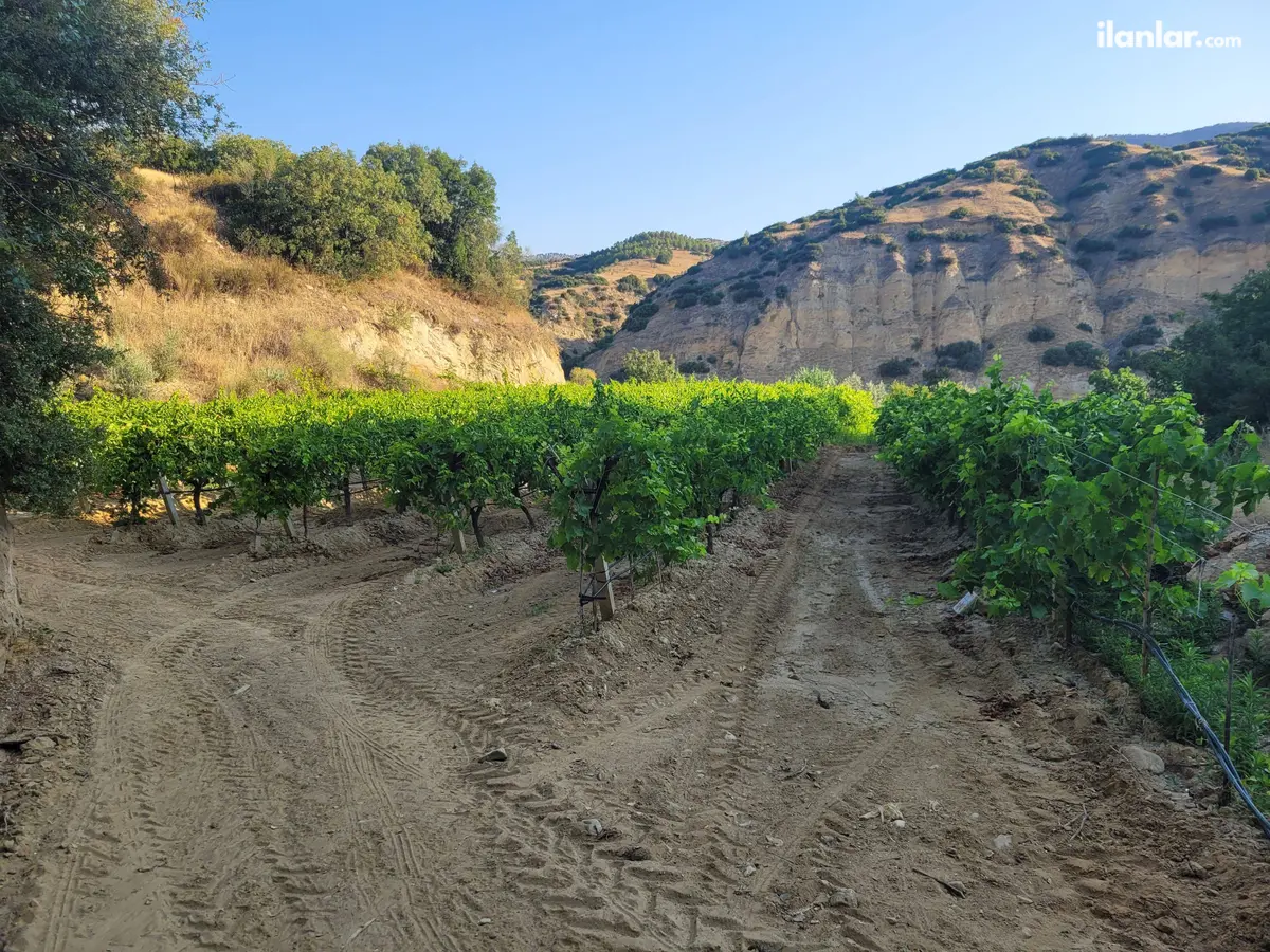 Manisa Sarıgöl Yeniköy Mahallesi 750 m² satılık arazi arsa - Fotoğraf 2